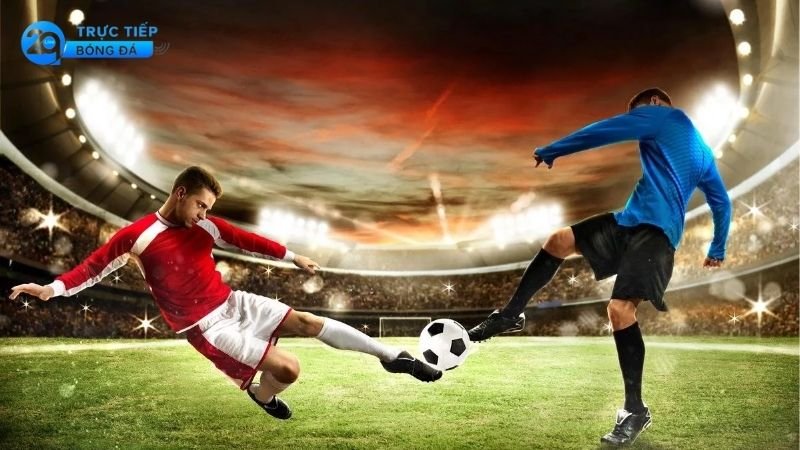Cái Nhìn Tổng Quan Về Các Giải Đấu Châu Âu
