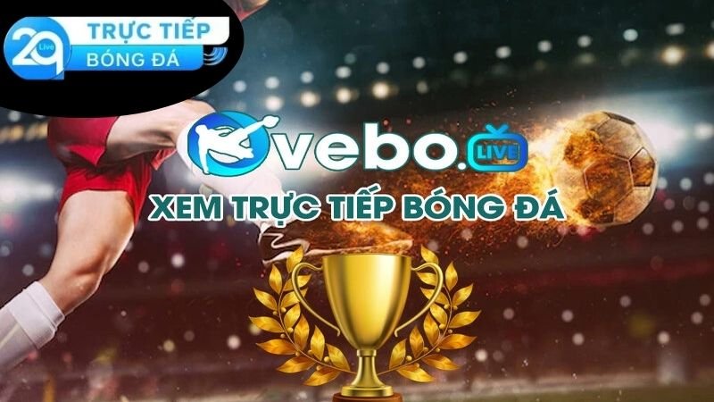 ve-bo-tv